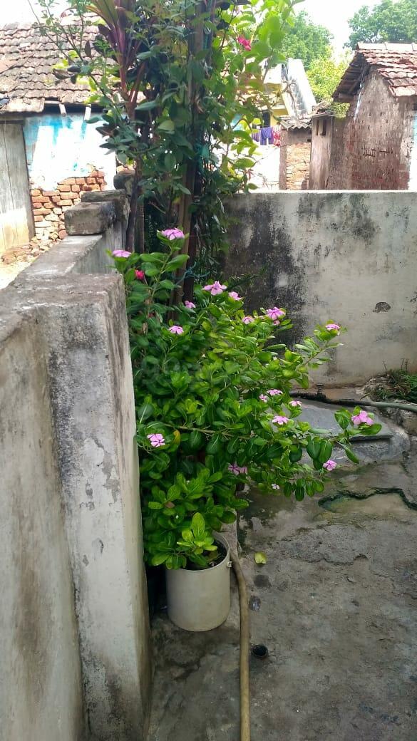 2 Bedrooms , 2 Bathrooms, No Balcony, House at  Khaperkheda, Nagpur
